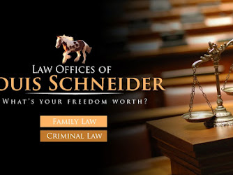 Law Offices Of Louis Schneider