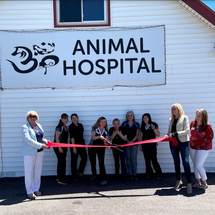 Aspen Park Vet Hospital, Jena Questen DVM CertAqV, & Associates