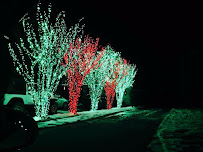 White river landscaping - Photo 6 - Car repair in Oklahoma City, OK, Oklahoma City