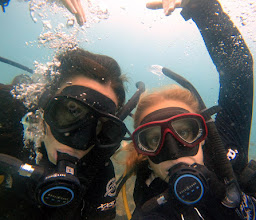 Black Turtle Dive Koh Tao photo