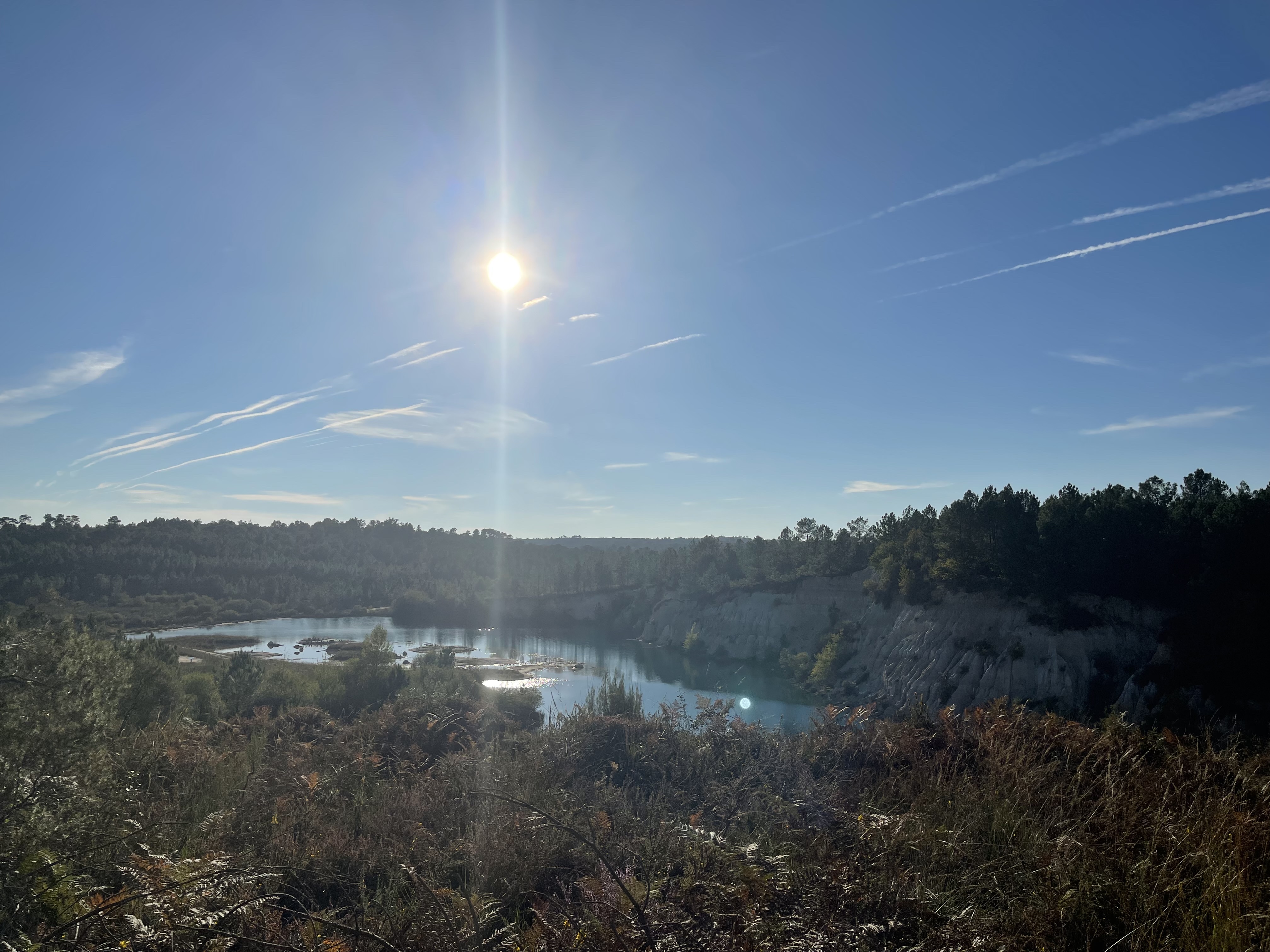 Photo n° 6 de l'avis de Emeric. fait le 17/10/2021 à 18:32