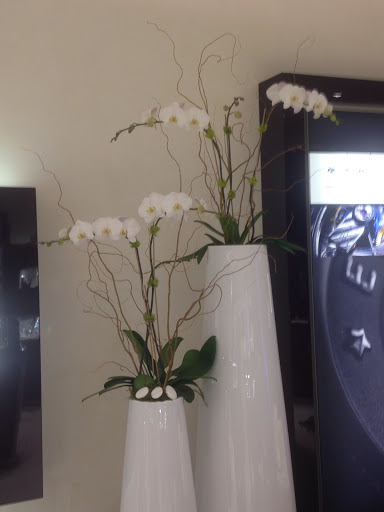 Florist «Aventura Florist», reviews and photos, 20445 Biscayne Blvd, Aventura, FL 33180, USA