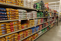 Food Lion - Photo 7 - Car repair in Greenville, NC, Greenville