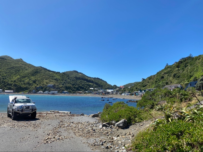 Photo de Owhiro Bay Beach et le règlement