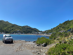 Photo de Owhiro Bay Beach et le règlement