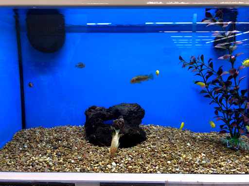 Pet Supply Store «Petco Animal Supplies», reviews and photos, 3194 FM407, Highland Village, TX 75077, USA