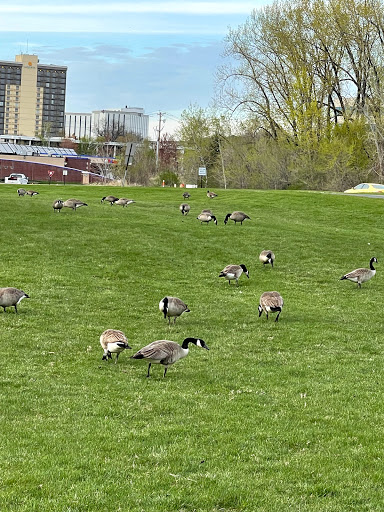 Theme Park «Nickelodeon Universe», reviews and photos, 5100 E Broadway, Bloomington, MN 55425, USA