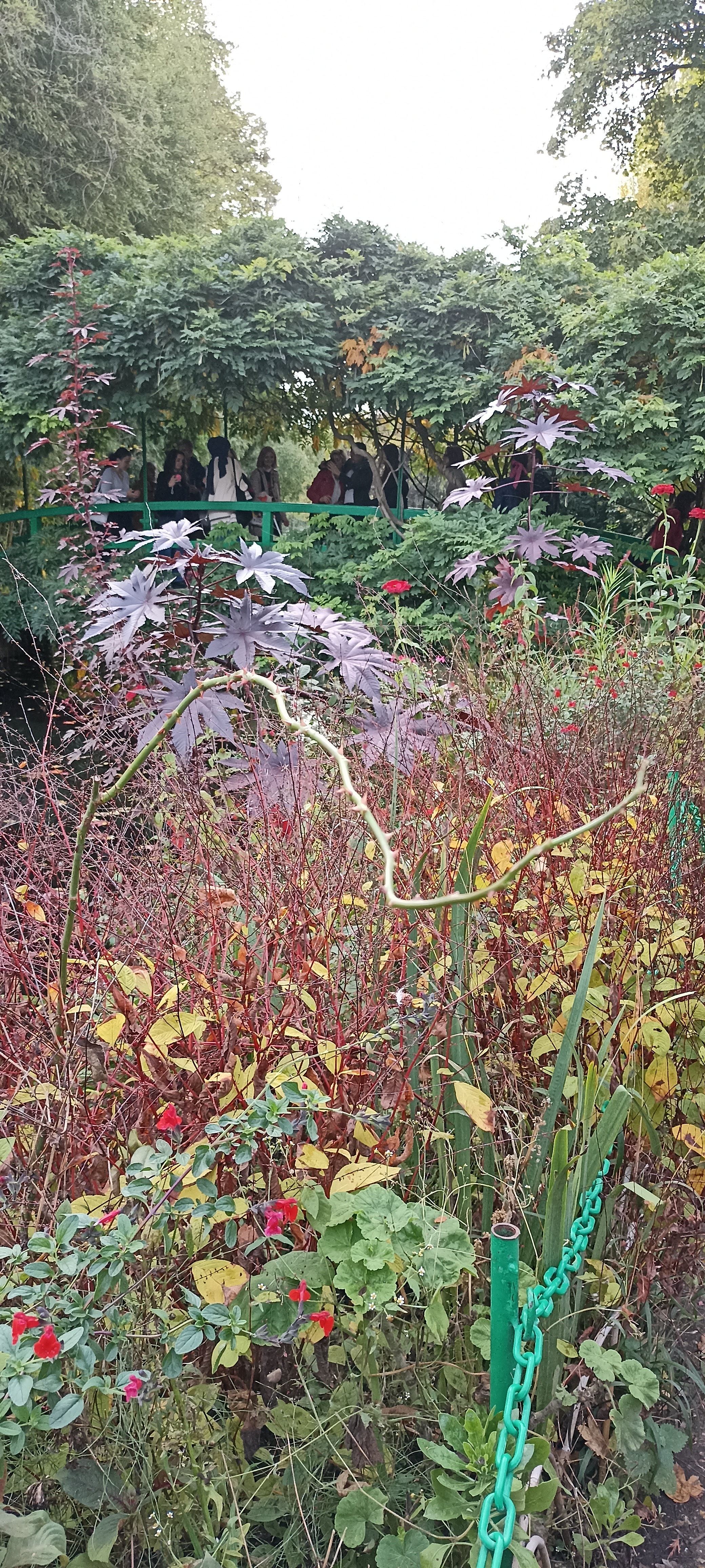 Photo n° 6 de l'avis de Verginia.H fait le 01/11/2022 à 18:08