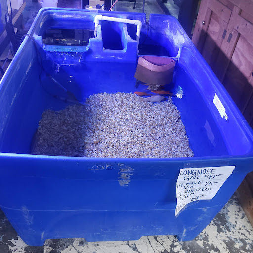 Pet Store «Pet Land», reviews and photos, 1450 Fort Campbell Blvd, Clarksville, TN 37042, USA