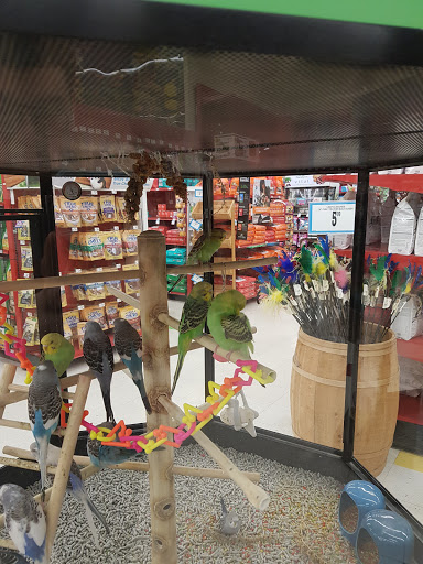 Pet Supply Store «Petco Animal Supplies», reviews and photos, 405 W Loop 281, Longview, TX 75605, USA