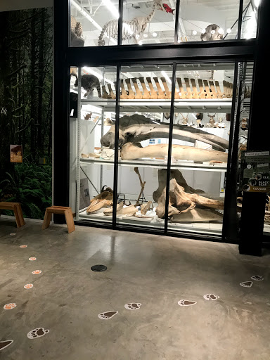 Natural History Museum «Burke Museum of Natural History and Culture», reviews and photos, 1413 NE 45th St, Seattle, WA 98105, USA