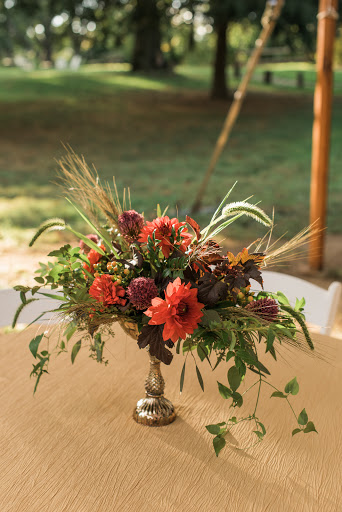 Florist «Dietz Falls Florist», reviews and photos, 1024 Portage Trail, Cuyahoga Falls, OH 44221, USA