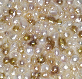 Photo n°1 de ShellShock Designs à Lunay ()