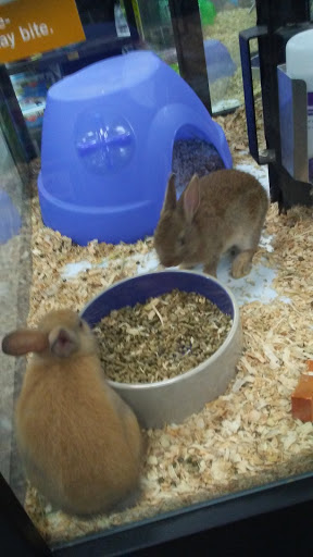Pet Store «Pet Supermarket», reviews and photos, 2542-2598 S Washington Ave, Titusville, FL 32780, USA