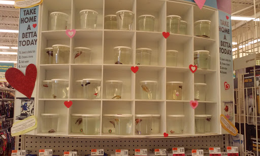 Pet Supply Store «Pet Supplies Plus», reviews and photos, 2155 Delaware Ave, Buffalo, NY 14216, USA