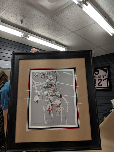 Craft Store «Michaels», reviews and photos, 1700 Deming Way #120, Middleton, WI 53562, USA