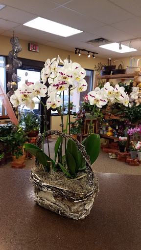 Florist «Dakota Floral Inc», reviews and photos, 13704 Co Rd 11, Burnsville, MN 55337, USA