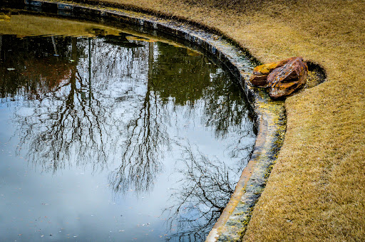 Park «Frisco Central Park», reviews and photos, 3155 Parkwood Blvd, Frisco, TX 75034, USA