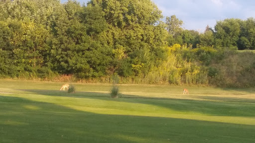 Public Golf Course «Rouge Park Golf Course», reviews and photos, 11701 Burt Rd, Detroit, MI 48228, USA