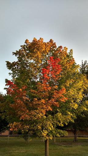 Nature Preserve «Red Oaks Nature Center», reviews and photos, 30300 Hales St, Madison Heights, MI 48071, USA