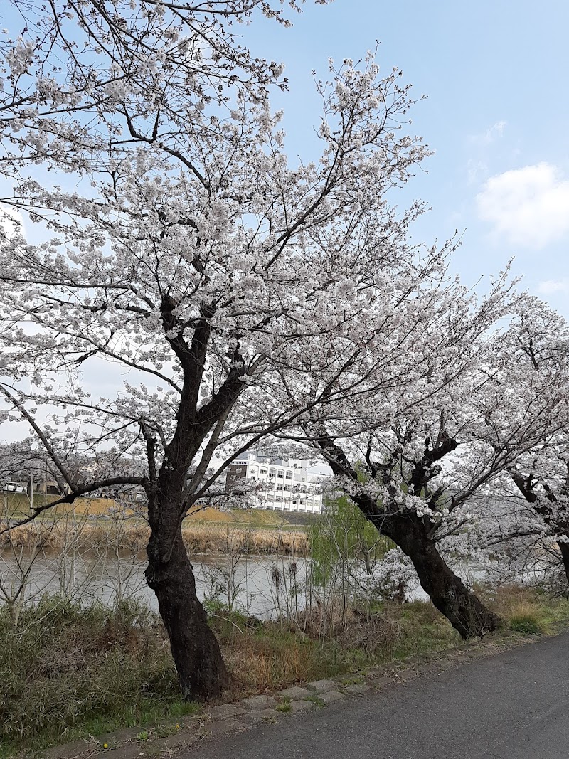 土岐川公園 岐阜県土岐市土岐津町 公園 公園 グルコミ