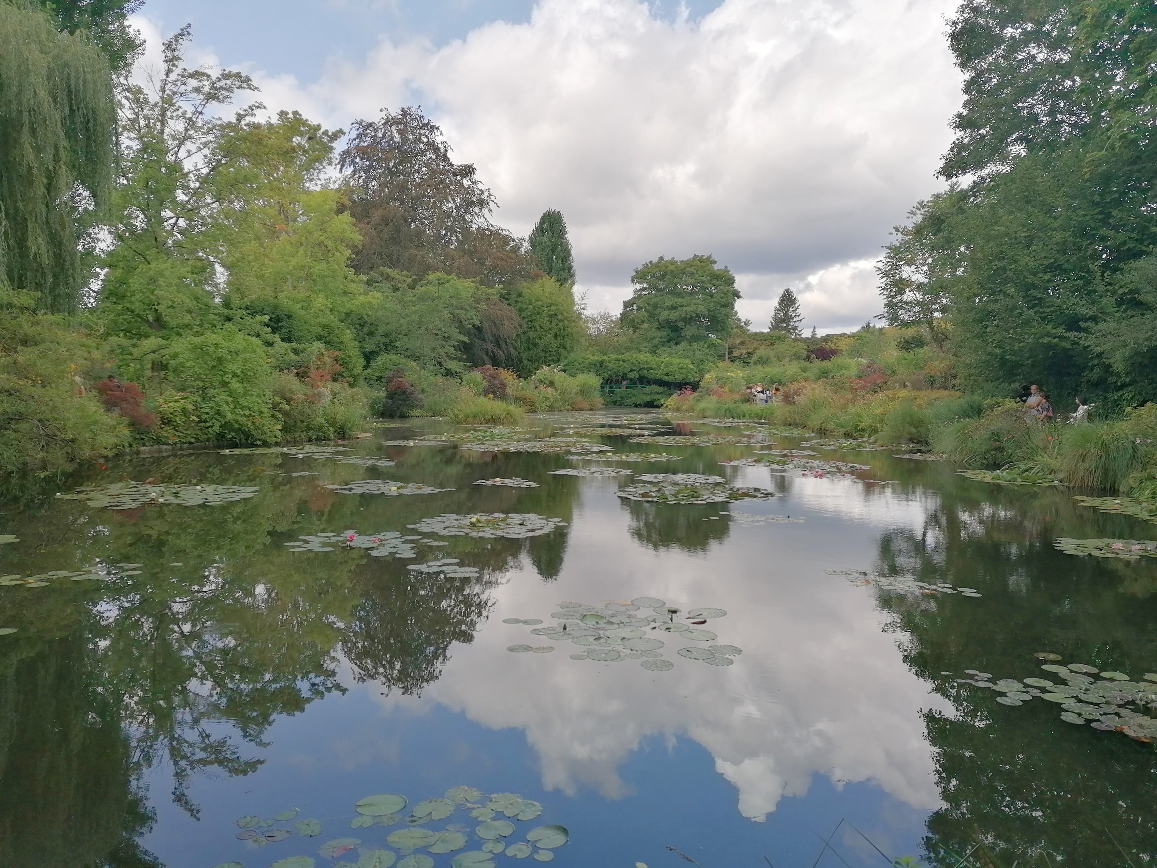 Photo n° 14 de l'avis de Sil.e fait le 29/08/2023 à 15:53
