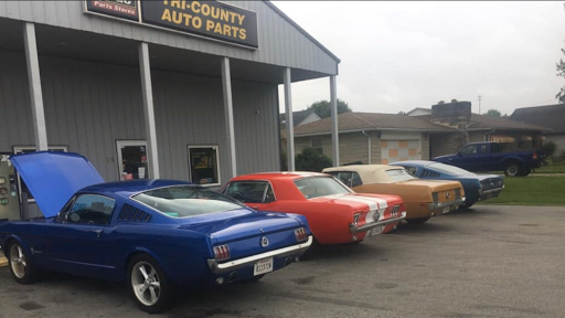 Auto Parts Store «Tri-County Auto Parts», reviews and photos, 619 S Eisenhower Dr, Edinburgh, IN 46124, USA