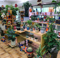 Rancho Flores Lawn and Garden Center - Photo 7 - Car repair in Tulsa, OK, Tulsa