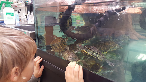 Pet Supply Store «Petco Animal Supplies», reviews and photos, 1203 SE Everett Mall Way f, Everett, WA 98208, USA