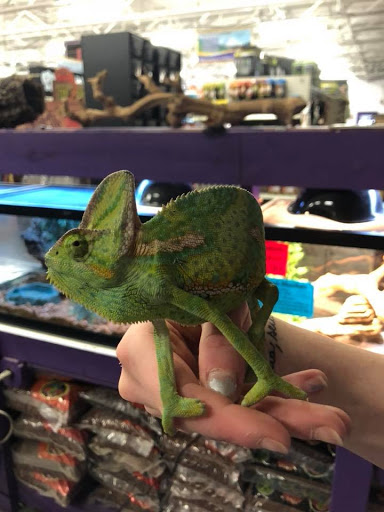 Pet Store «The Pet Zone», reviews and photos, 20 W Oak St, Pittston, PA 18640, USA