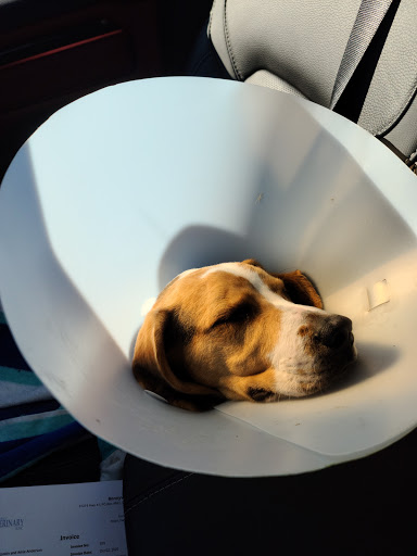 Bonnyville Veterinary Clinic image