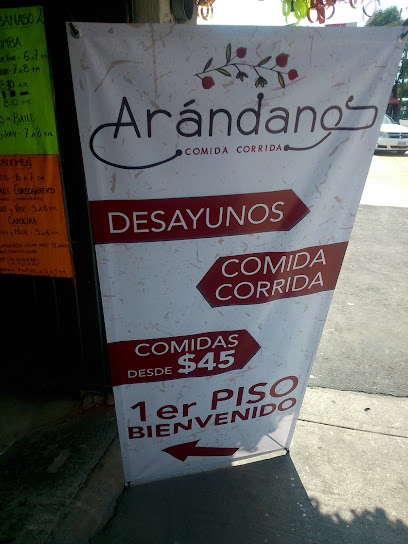 Restaurante Arandanos, , 
