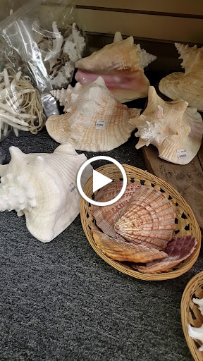 Gift Shop «Ocean Treasures», reviews and photos, 966 Boardwalk, Ocean City, NJ 08226, USA