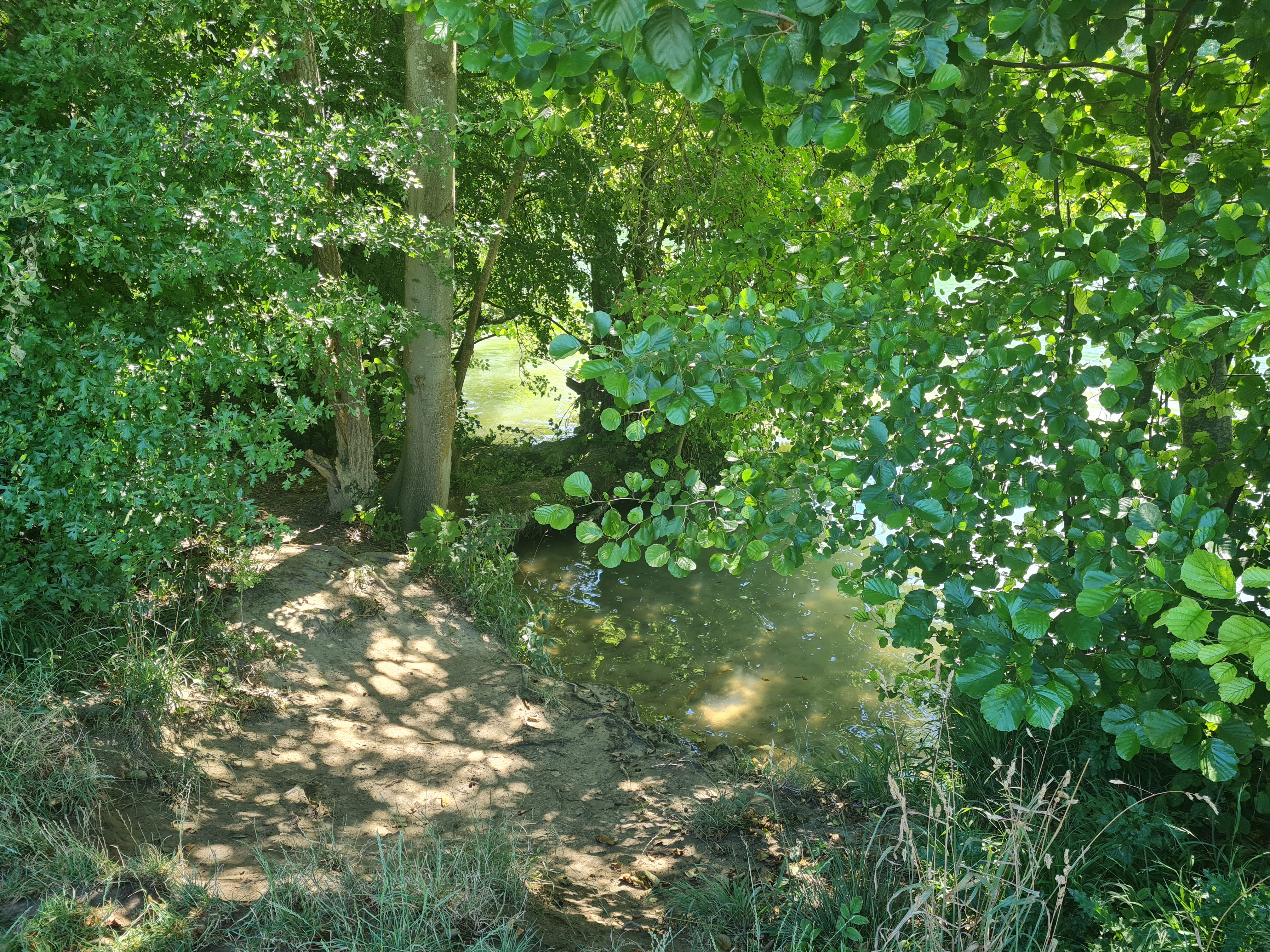 Photo n° 33 de l'avis de Claw.i fait le 15/07/2022 à 14:51