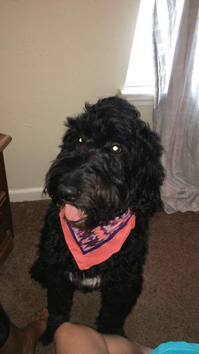 Mexican Restaurant «QDOBA Mexican Eats», reviews and photos, 1570 N Dixie Hwy #100, Elizabethtown, KY 42701, USA