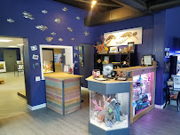 Premier Aquarium Service - Photo 7 - Car repair in Minneapolis, MN, Minneapolis