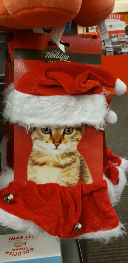 Book Store «Books-A-Million», reviews and photos, 9400 Atlantic Blvd, Jacksonville, FL 32225, USA