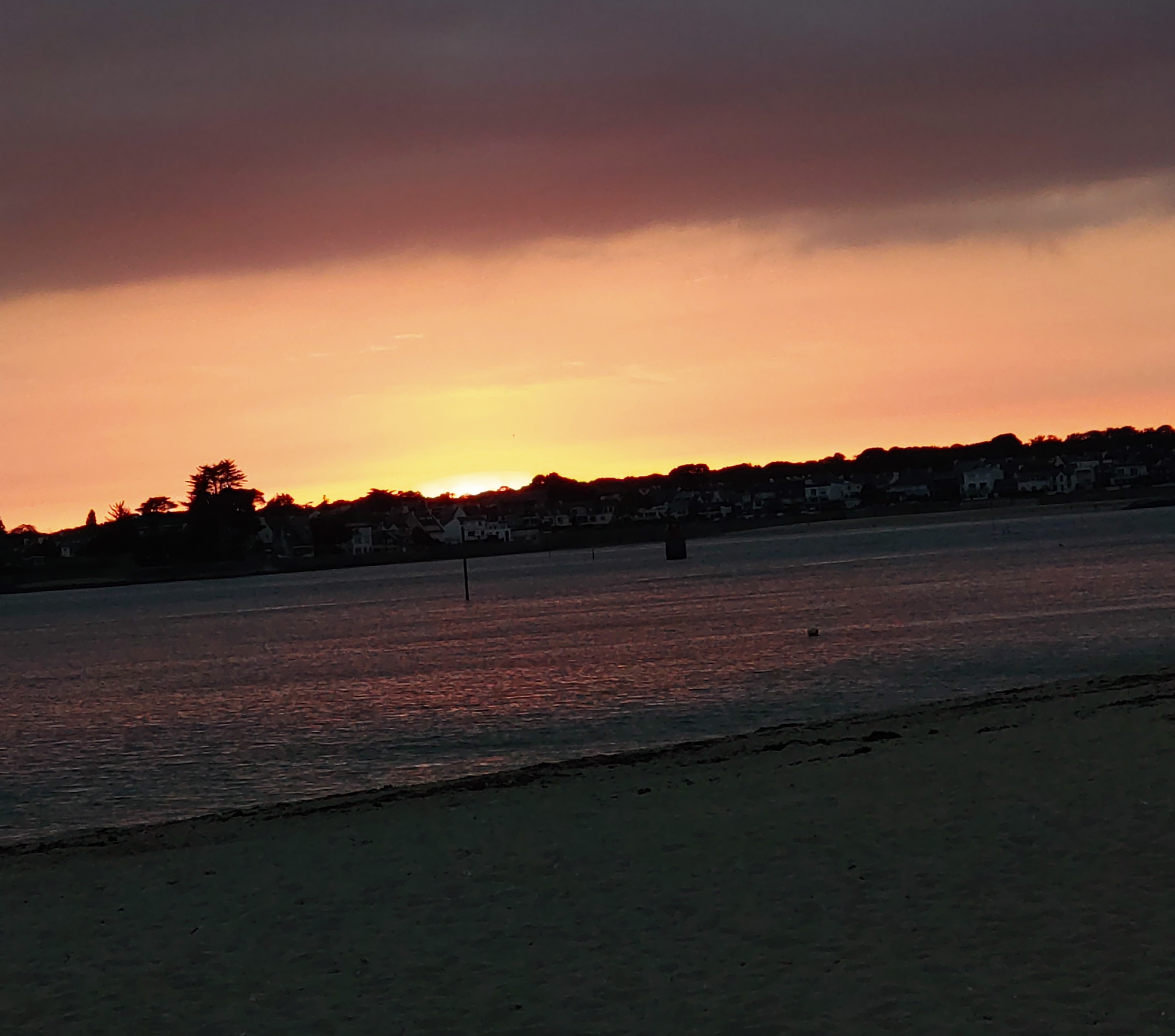 Photo n° 2 de l'avis de nounours.e fait le 24/08/2023 à 18:48