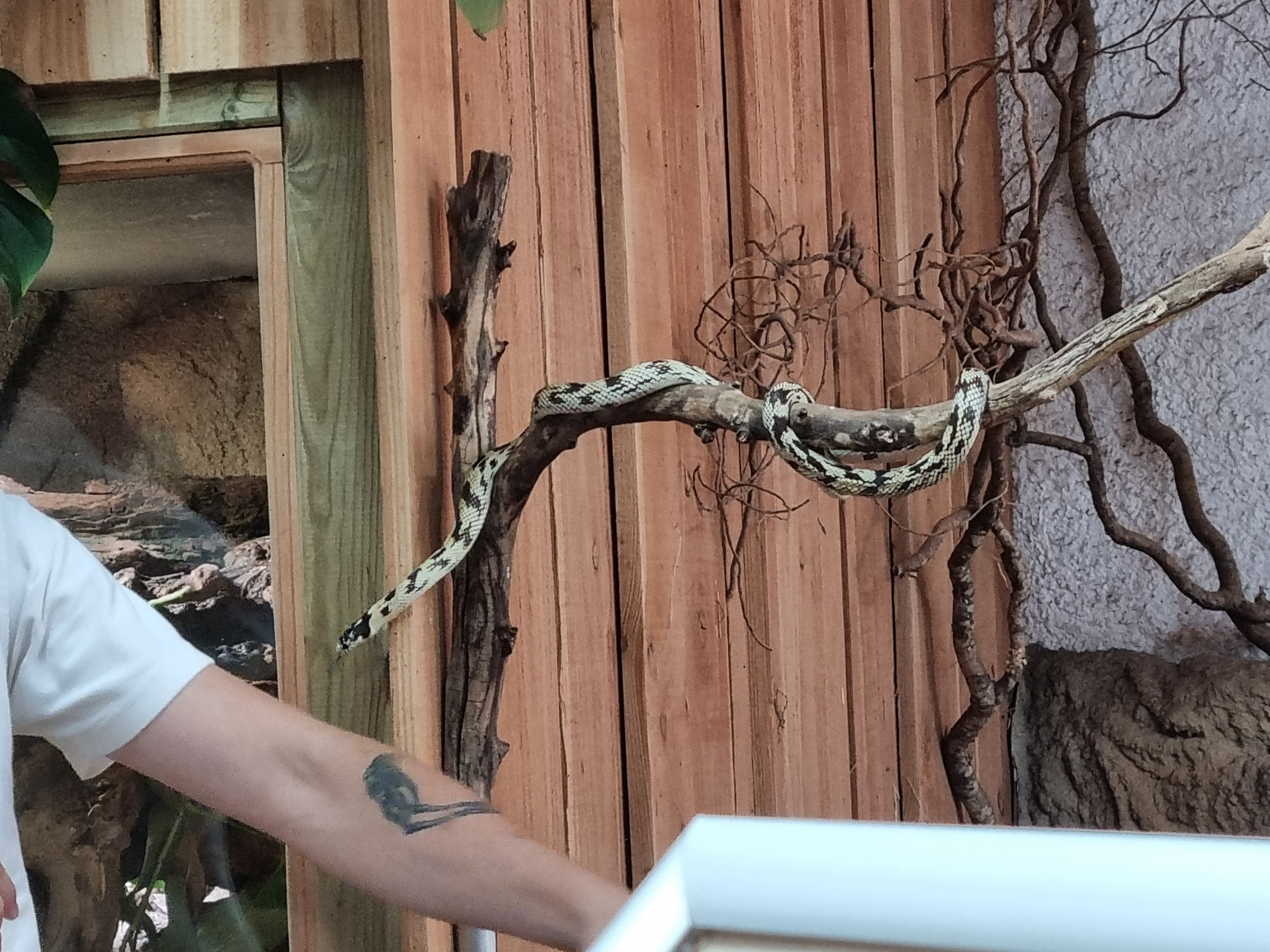 Photo n° 3 de l'avis de Zoé.o fait le 25/08/2023 à 10:24