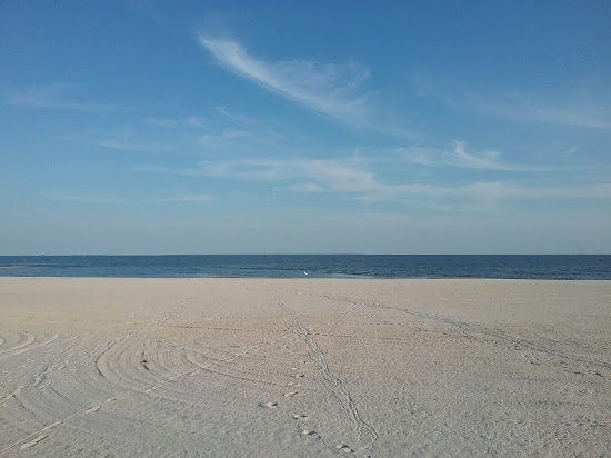Long beach city beach