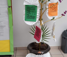 Psychiatric Hospital of Sinaloa photo