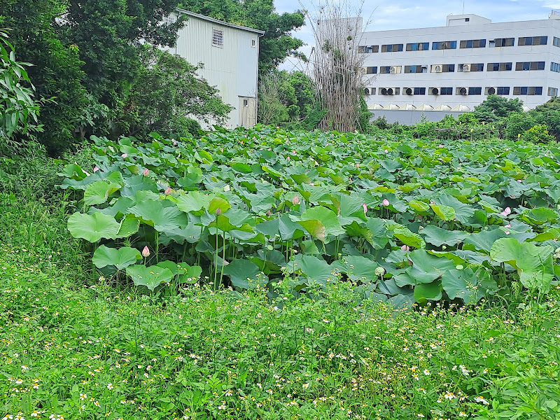 東寶社區活動中心