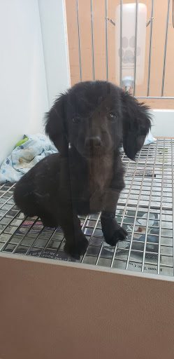 Pet Store «PV Pets», reviews and photos, 233 S Broadway, Pennsville, NJ 08070, USA