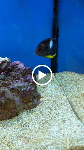 Pet Supply Store «Petco Animal Supplies», reviews and photos, 1121 5th St, Miami Beach, FL 33139, USA