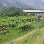 Photo n°9 de l'avis de Roberto.i fait le 10/06/2023 à 13:44 sur le  bike and wine bar à Dro