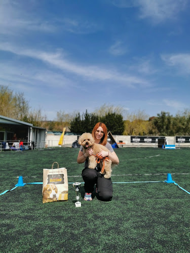 Varibopi Dog Spors & Training - Αχαρνές