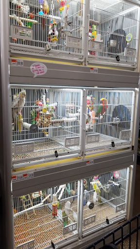 Pet Supply Store «Pet Supplies Plus», reviews and photos, 9500 Dorchester Rd #350, Summerville, SC 29485, USA