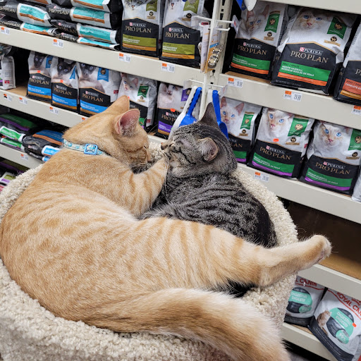 Pet Supply Store «Pet Supplies Plus», reviews and photos, 2057 S Telegraph Rd, Bloomfield Hills, MI 48302, USA