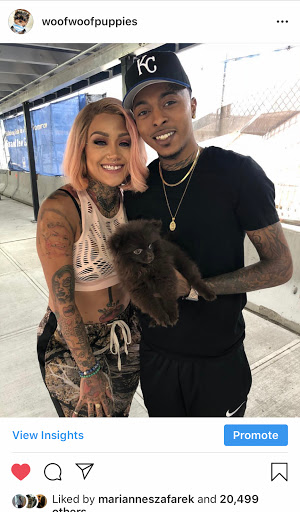 Pet Supply Store «Woof Woof Puppies & Boutique», reviews and photos, 29555 Northwestern Hwy, Southfield, MI 48034, USA