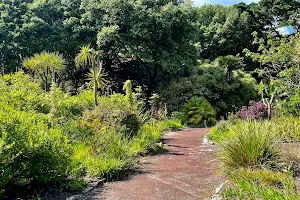 Tropical Gardens image